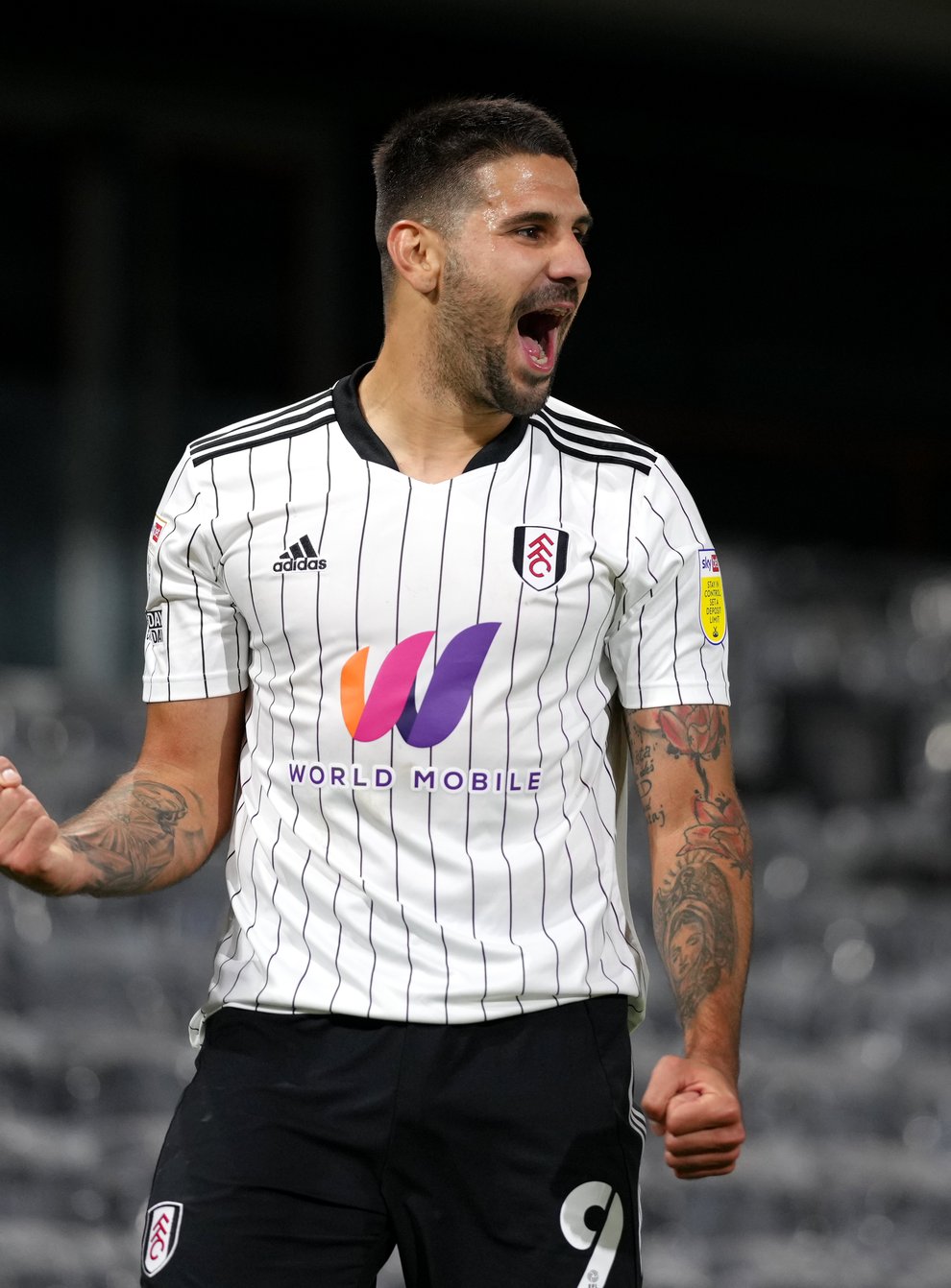 Aleksandar Mitrovic hat-trick guides Fulham to victory over Swansea | NewsChain